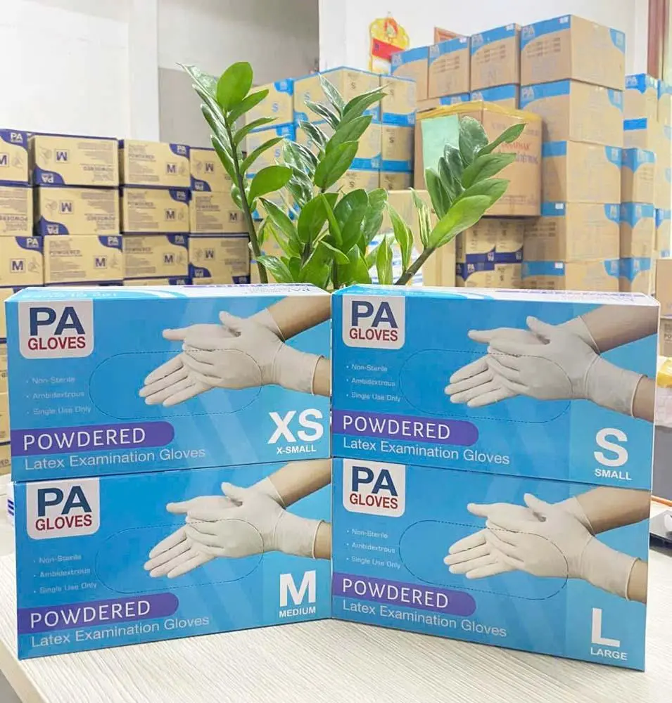 GĂNG TAY Y TẾ PA GLOVES LATEX CÓ BỘT